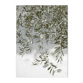 Axyaa Olive Tree Architecture Canvas Print Wall Art Posters for Living Room