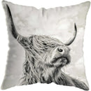 Axyaa Highland Cat Cow Yak Animal Pillowcase for Stylish Home Decor
