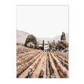 Axyaa Wine Vineyard Wall Art Canvas Print - Nordic Living Room Decor