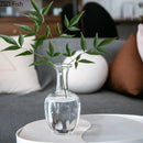 Axyaa Glass Vase: Modern Zen Hydroponics Floral Insert for Home and Office Decor