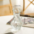 Axyaa Clear Retro Flower Vase Hydroponics Plants Pot Glass Decor Container