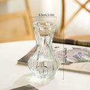 Axyaa Clear Retro Flower Vase Hydroponics Plants Pot Glass Decor Container