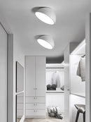 Axyaa LED Semicircular Ceiling Lights for Balcony Bedroom Entrance Creative Lighting Fixtures