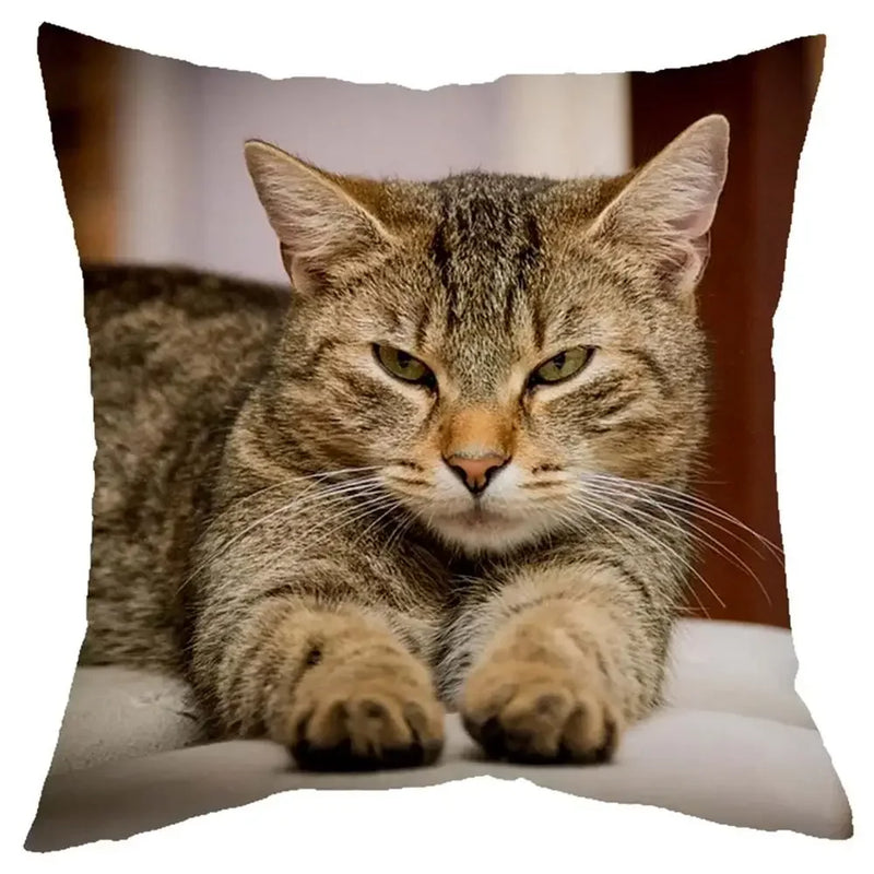 Axyaa Cat Design Sofa Cushion Cover 45x45cm