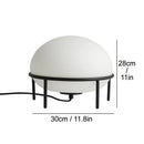 Axyaa Nordic Glass Floor Lamp for Living Room, Study, Bedroom