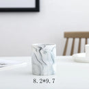 Axyaa Marble Ceramic Succulent Planter Set