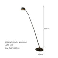 Axyaa Modern Minimalist Fishing Rod Floor Lamp - Long Pole LED Spotlight