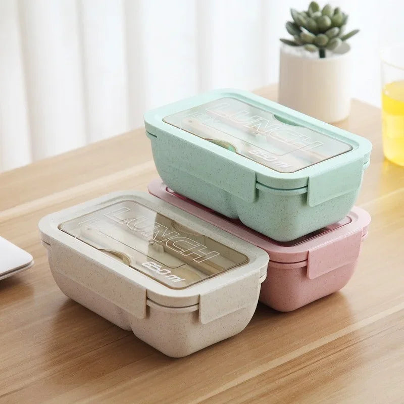 Axyaa Wheat Straw Lunch Box with Lid - Portable Bento Box for Students