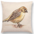 Birds Painting Cushion Cover - Axyaa Collection: Robin, Titmouse, Toucan, Sparrow, Firecrest, Cardinal, Bullfinch
