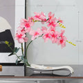 Axyaa Simulated Butterfly Orchid Ceramic Flowerpot Set for Home Decoration