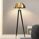 Luxury Postmodern Floor Lamp for Personalized Lighting by Axyaa in Living  Dining  Bedrooms