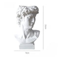 Axyaa David Head Sculpture Resin Vase Home Decor Statue Portrait Art Craft