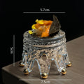Axyaa Glass Tableware: French Molecular Cuisine Sushi Dessert Specialty Plates