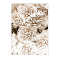 Axyaa Beige Bunny Tail Grass Pampas Reed Wall Art Print & Decor
