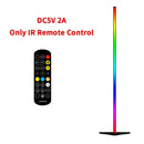 Axyaa Modern RGB LED Floor Lamp for Home Decoration