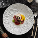 Axyaa Stone Pattern Ceramic Dinner Plate Set - Restaurant Tableware