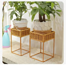 Axyaa Rustic Wicker Plant Stand with Flowerpot Indoor Decor Shelf