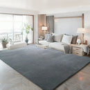 Axyaa Gray Coral Fleece Living Room Rug for Sofa, Coffee Table, Kids Bedroom