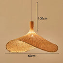 Axyaa Modern Pendant Lights Indoor Lighting Ceiling Chandeliers LED for Dining Room
