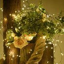 Axyaa LED Twinkle Fairy Lights for Christmas Decor