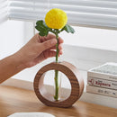 Axyaa Wood Decoration Hydroponic Mini Glass Vase for Living Room Flower Arrangement