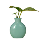 Axyaa Mini Ceramic Vase 7.5x6cm Desktop Decoration for Home Décor and Props
