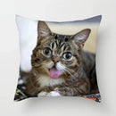 Axyaa Cute Cat Animal Pillowcase for Sofa Decoration in Living Room