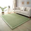 Axyaa 2cm Coral Fleece Carpet | Custom Size | Thickened | Branded Quality