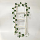 Axyaa LED Eucalyptus Table Greenery Vines for Indoor Outdoor Decoration