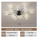 Axyaa Modern LED Ceiling Lamp for Home Decor