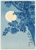 Yuming Yamanaka Cherry Blossoms Canvas Print Wall Art Posters by Axyaa