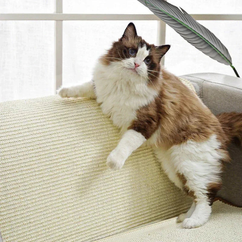 Axyaa Sisal Cat Scratching Mat: Natural, Wear-Resistant Backrest for Furniture Protection