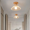 Axyaa Clear Glass LED Ceiling Lights Modern Ceiling Lamp Home Lighting