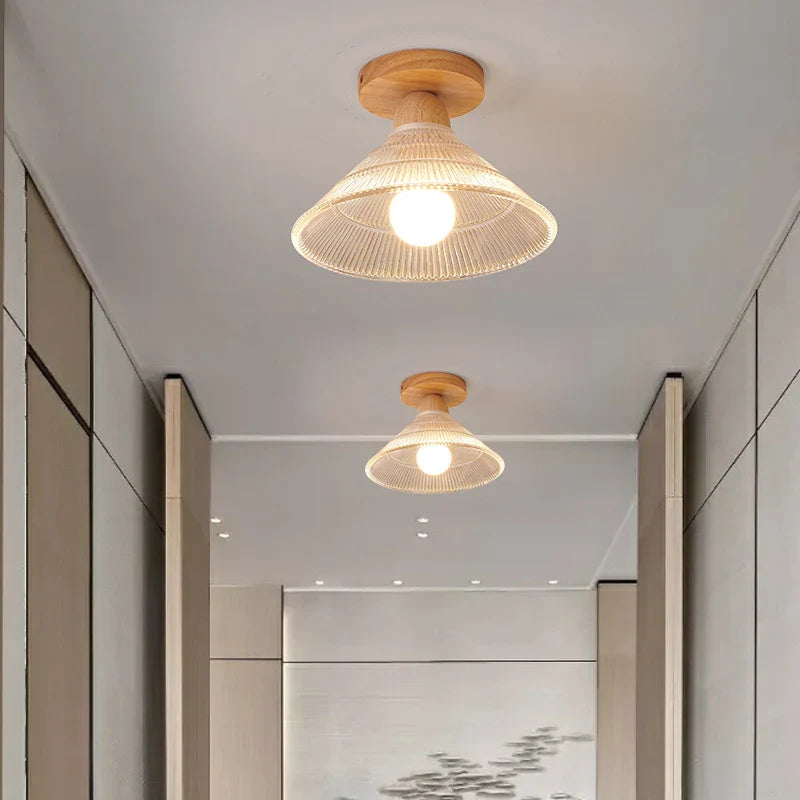 Axyaa Clear Glass LED Ceiling Lights Modern Ceiling Lamp Home Lighting