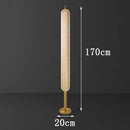 Axyaa LED Floor Lamp: Minimalist Remote Control Dimming Nordic Ins Style Vertical Light