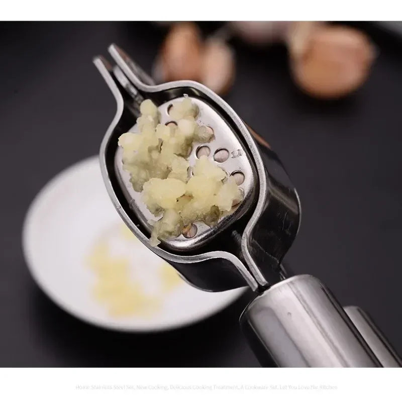 Axyaa Stainless Steel Garlic Press Squeezer Mincer Tool for Kitchen