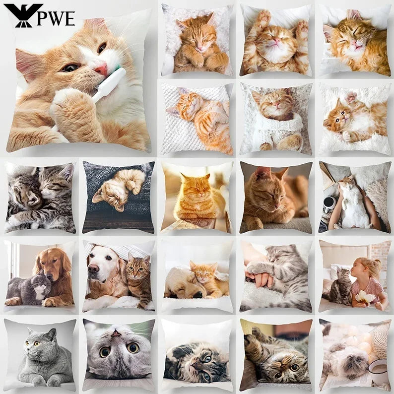 Axyaa Cat Collection Pillowcase - Home & Office Decor Square Pillowcase