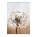 Axyaa Dandelion Reed Canvas Print Nordic Wall Art for Home Decor
