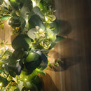 Axyaa LED Eucalyptus Wreath: Greenery Front Door Decor for Indoor/Outdoor