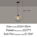 Axyaa Glass LED Pendant Light: Stylish Interior Lighting Chandelier for Bedroom, Dining Room, Study Room