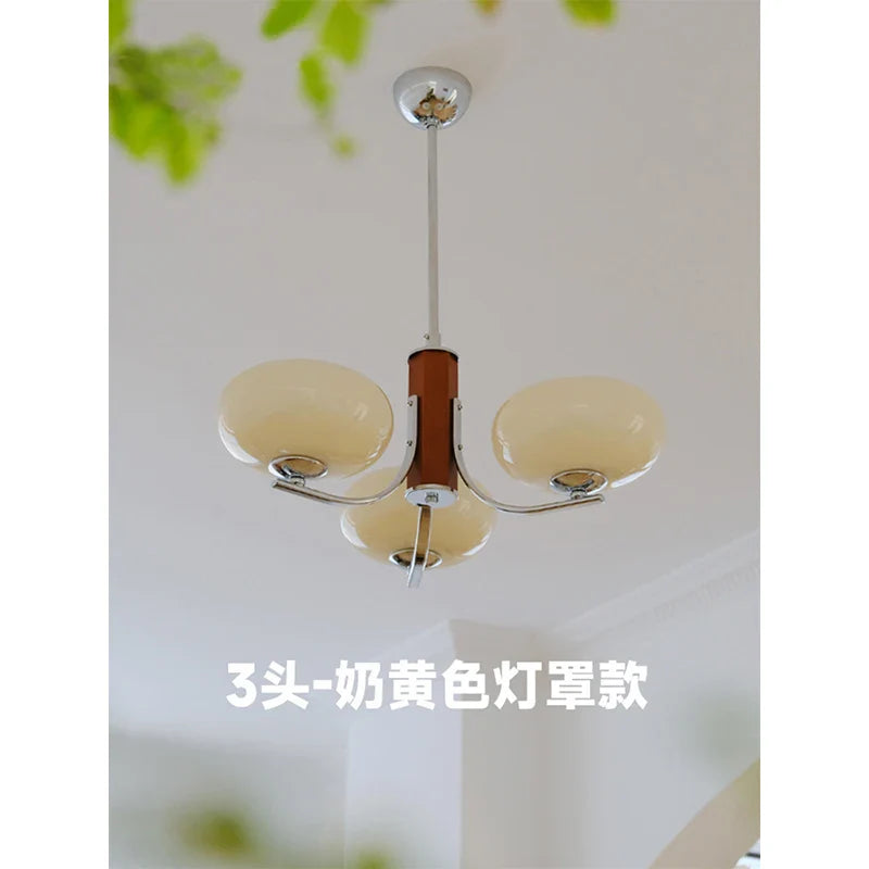 Axyaa Medieval French Glass Chandelier for Living Room, Bedroom, Study, and Restaurant
