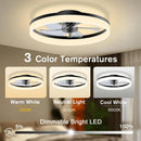 Axyaa Acrylic Ceiling Fan Light Remote Control 6-speed Living Room Fan Lamp