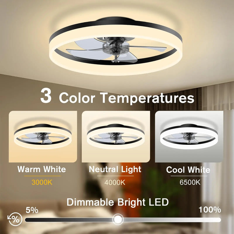 Axyaa Acrylic Ceiling Fan Light Remote Control 6-speed Living Room Fan Lamp
