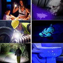 Axya UV 395nm Flashlight: Ultraviolet Torch for Pet Urine, Scorpions, Blacklight Detector