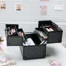 Axyaa Makeup Train Case Jewelry Box Organizer, Large Capacity Handle Included