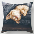 Axyaa Cute Cat Hug Pillowcase Interactive Cushion for Home Sofa Decor