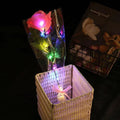 Axyaa Glowing LED Rose Flowers - Romantic Valentine's Day Gift