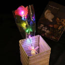 Axyaa Glowing LED Rose Flowers - Romantic Valentine's Day Gift