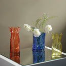 Axyaa Glass Hydroponic Vase for Home Decor and Flowers