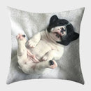 Axyaa French Bulldog Polyester Cushion Cover - Modern Sofa Throw Pillow Cover
